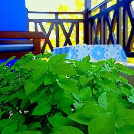 Πανσιόν Anastasia 3*