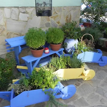 Anastasia 3* Αμμουλιανή