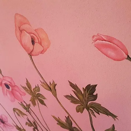 Anastasia Πανσιόν Αμμουλιανή