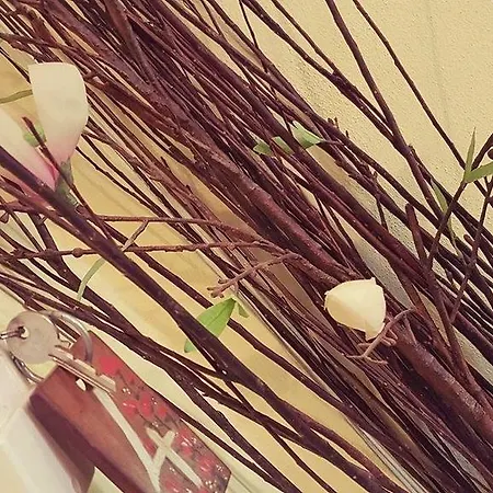 ゲストハウス Anastasia アムリアニ