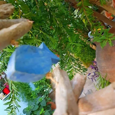 ゲストハウス Anastasia