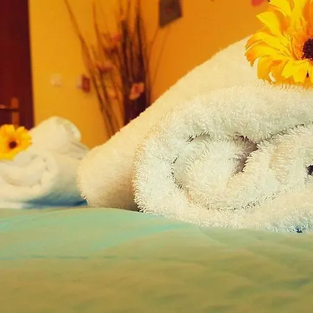 Anastasia 阿莫利亚尼岛