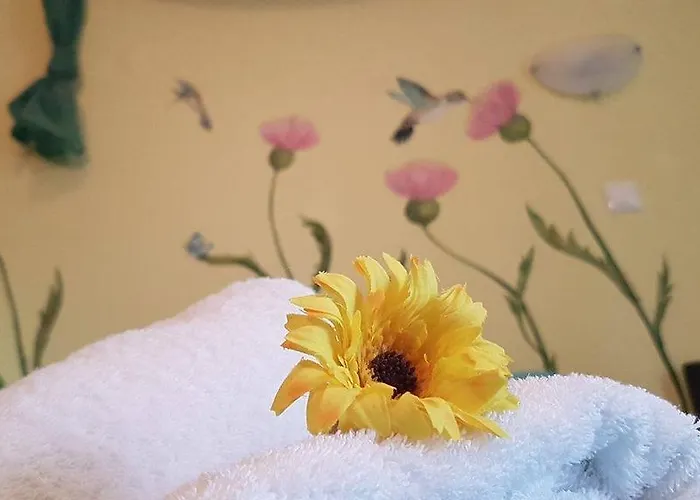 Гостевой дом Anastasia Амолиани