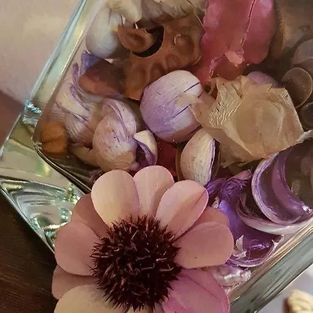 Anastasia أمولياني