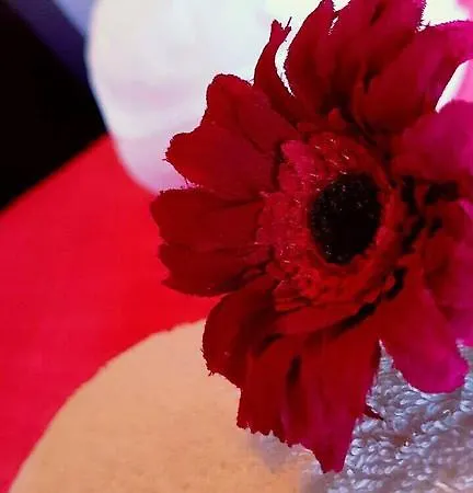 بيت ضيافة Anastasia