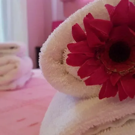 Anastasia Ammouliana