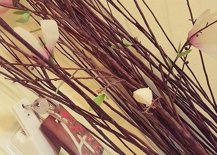 Gasthuis Anastasia Ammouliana