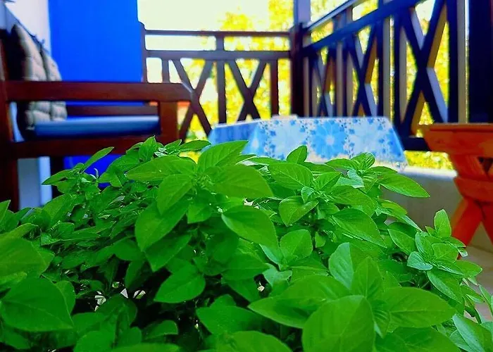 Gasthuis Anastasia 3*