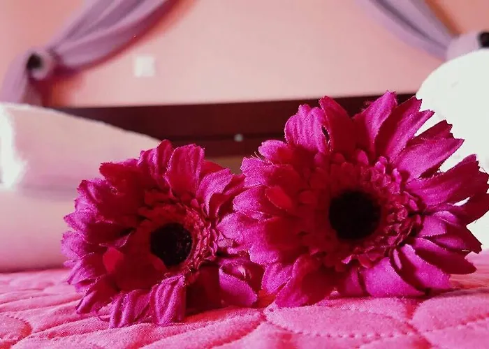 Gasthuis Anastasia 3*