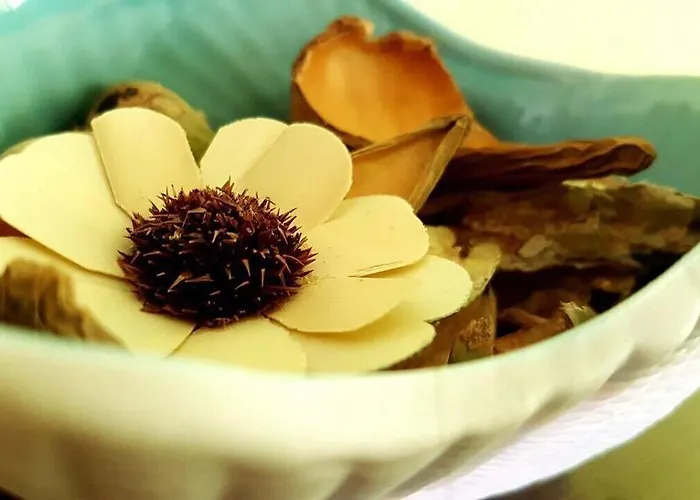 Gasthuis Anastasia 3*