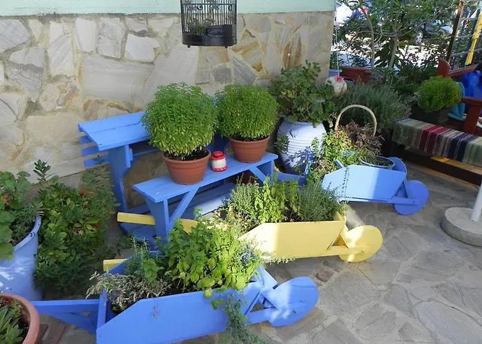 Anastasia 3* Ammouliana